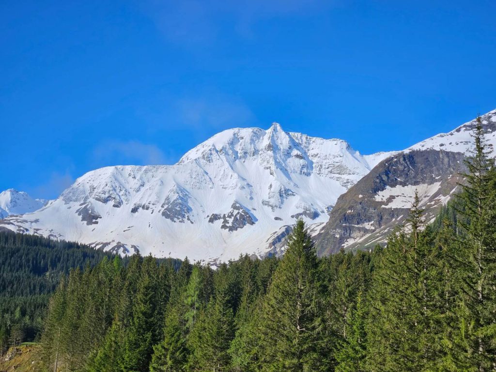 Schneebedeckte Berge über bewaldetem Tal bei klarem blauen Himmel.