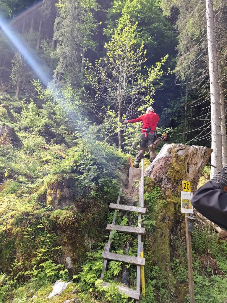 Bogenschütze auf Holzbrücke im Wald bei traditionellem Jagdbogenparcours in Rauris